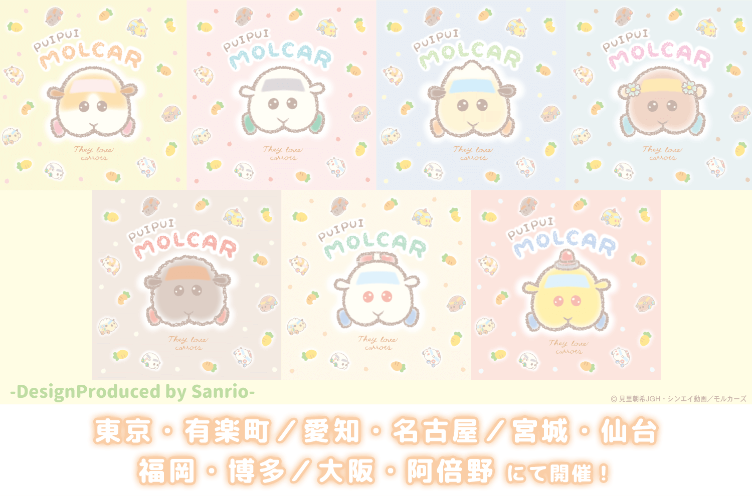 Pui Pui モルカー Premiumshop Designproduced By Sanrio